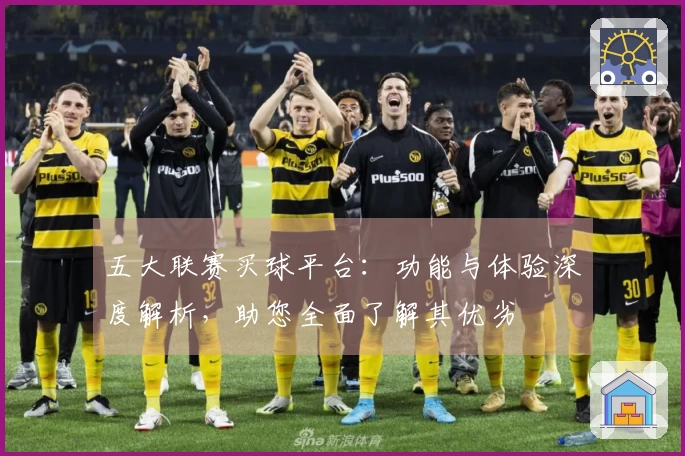 五大联赛买球平台：功能与体验深度解析，助您全面了解其优劣